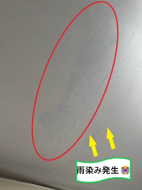 雨染み