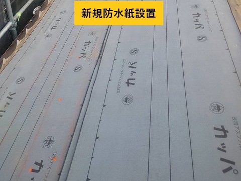 新規防水紙設置