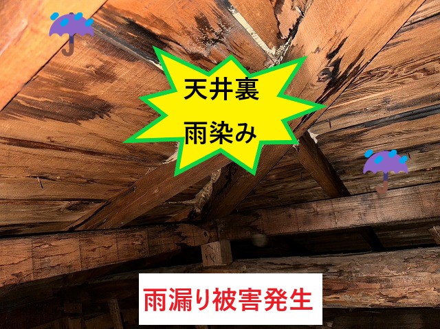 雨漏り被害発生