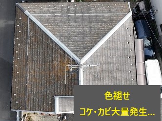 色褪せ・カビやコケが大量発生した屋根を塗装しました