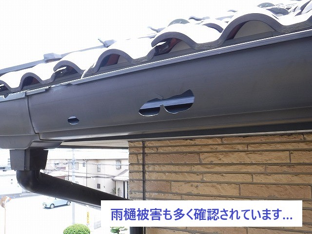 雨樋の被害も多発していました