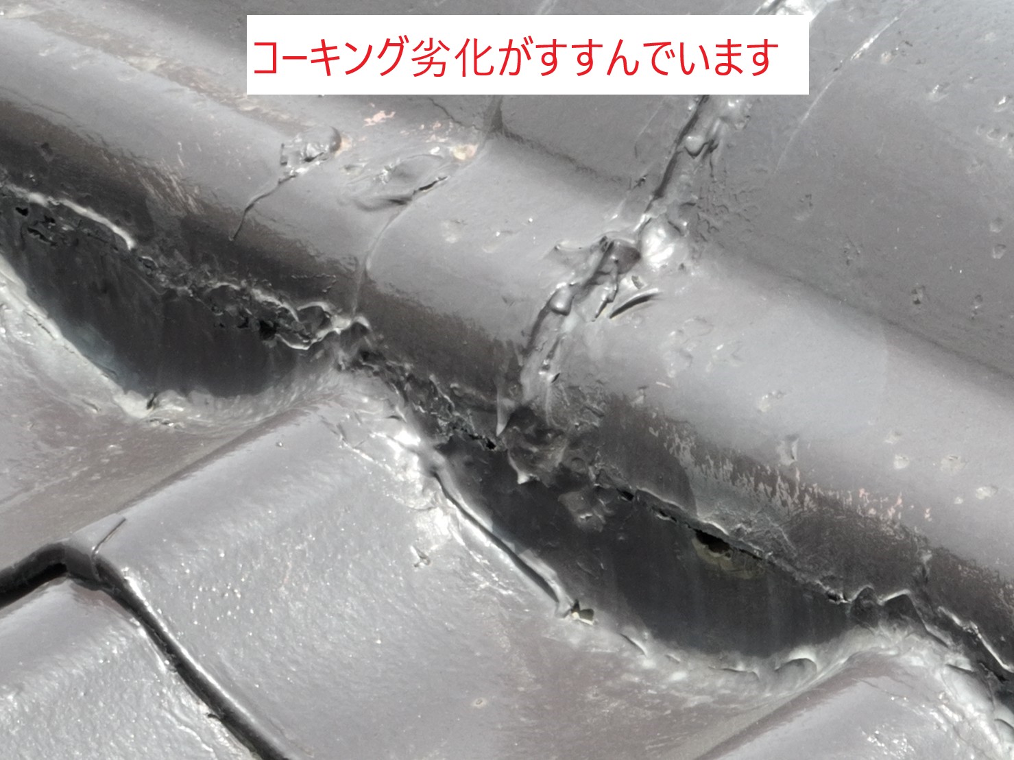 コーキング劣化がすすんでいる