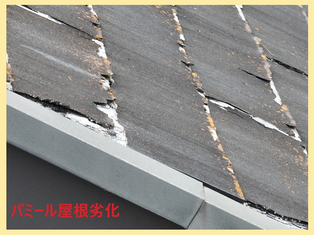 パミール屋根層間剝離