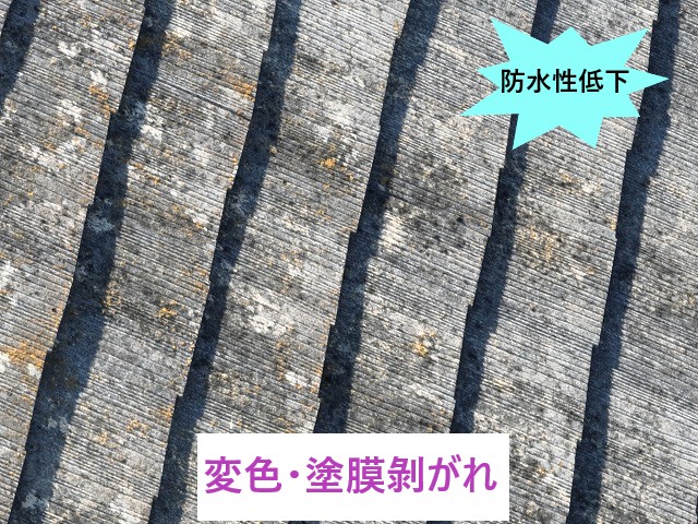 変色・塗膜剝がれ