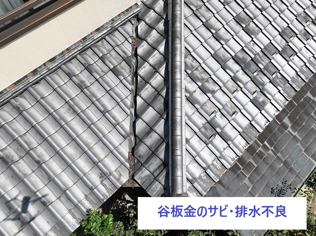 天井にシミ？葺き直し工事でお住まい復活