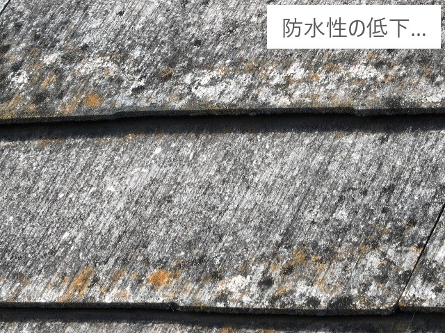 屋根リフォーム　カバー工法？塗装？メンテナンス方法