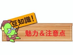 魅力と注意点をお教えします