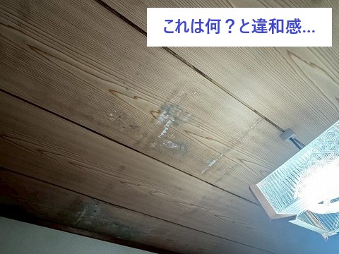 室内に雨漏り跡を見つけたら…放置せず街の屋根やさんへご相談ください！