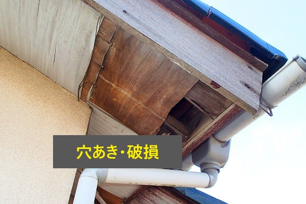 吉川市で軒天修理の重要性をご紹介♪