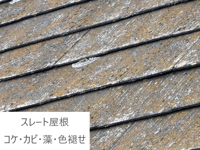 屋根リフォーム　カバー工法？塗装？メンテナンス方法