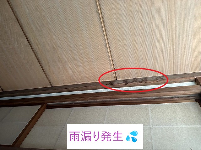 雨漏り