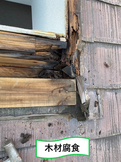 木材腐食
