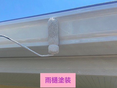 雨樋塗装