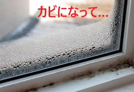 サンルーム雨漏り　小さな異変を発見したら！