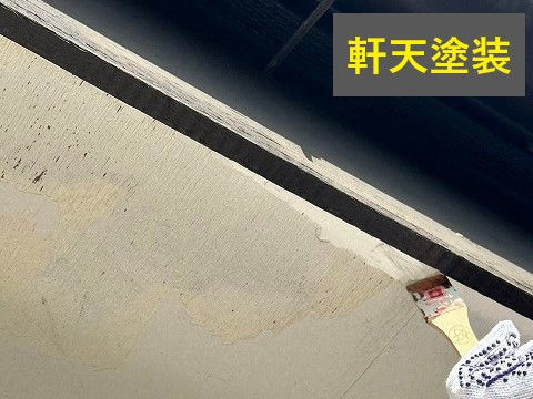 【主な劣化原因】 ・経年劣化（10～15年が目安） ・湿気・雨水の浸入 ・雨漏りによる腐食・シミ ・小動物（鳥・ハクビシンなど）による破損 ・台風や強風による板のめくれ