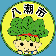 電気代が高すぎて…！太陽光発電＋蓄電池導入体験！我が家の救世主になったエコな選択