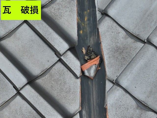 瓦破損