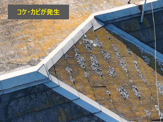 屋根塗装　お住まいを長持ちさせるための対策で塗装をしました♪