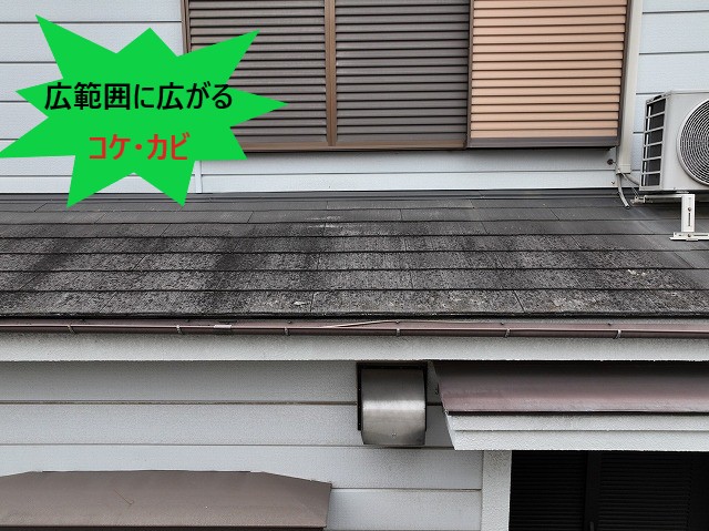 スレート屋根劣化下屋根