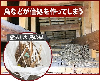 軒天損傷による鳥獣被害