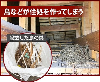 吉川市で軒天修理の重要性をご紹介♪