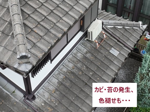 カビ・苔、色褪せ