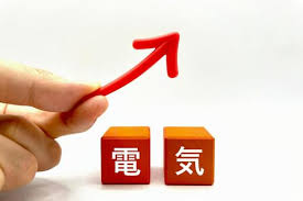 電気代が高すぎて…！太陽光発電＋蓄電池導入体験！我が家の救世主になったエコな選択