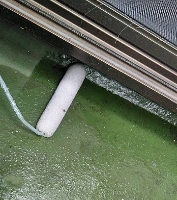 ベランダ防水トップ塗布