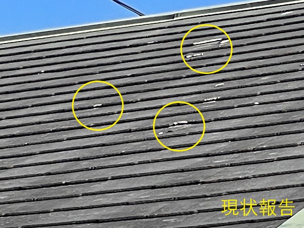 無料点検後　今後のメンテナンス方法