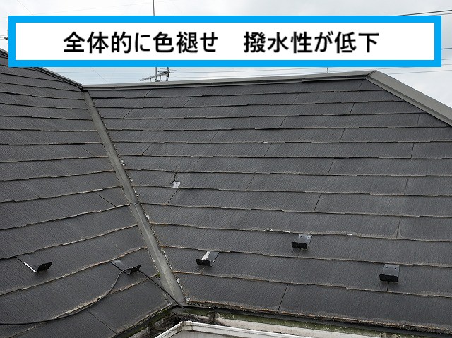 全体的な色あせ