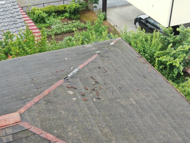 コロニアル棟板金破損