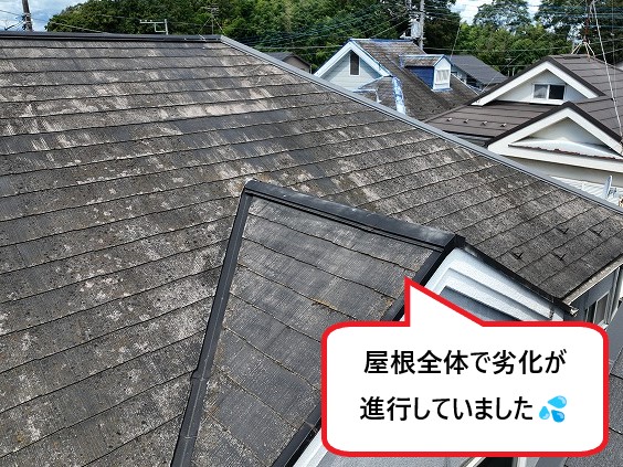 屋根全体で劣化が進行