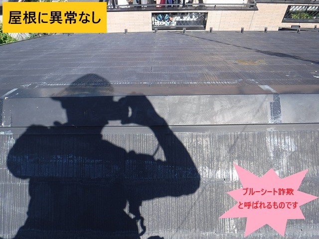 ブルーシート詐欺