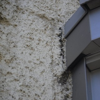 外壁のクラック