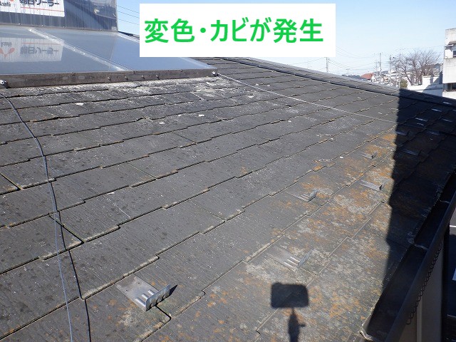 変色・カビが発生