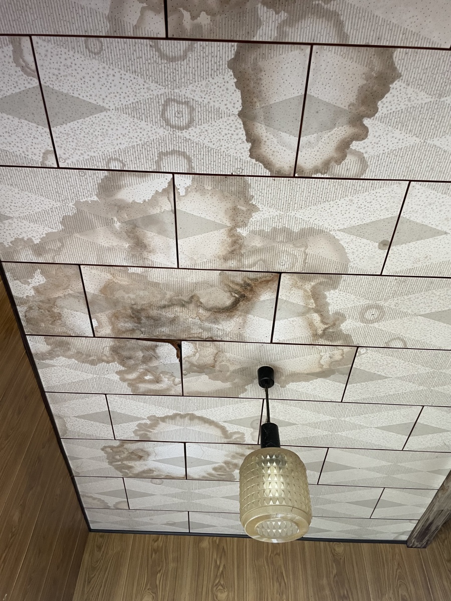 玄関　天井　雨漏れ