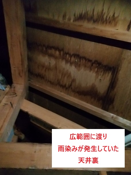 屋根裏の雨染み