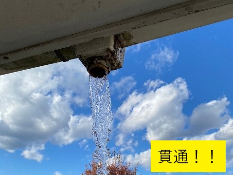 雨樋散水確認