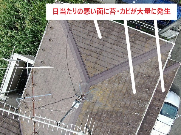 日当たりの悪い面に苔・カビが発生
