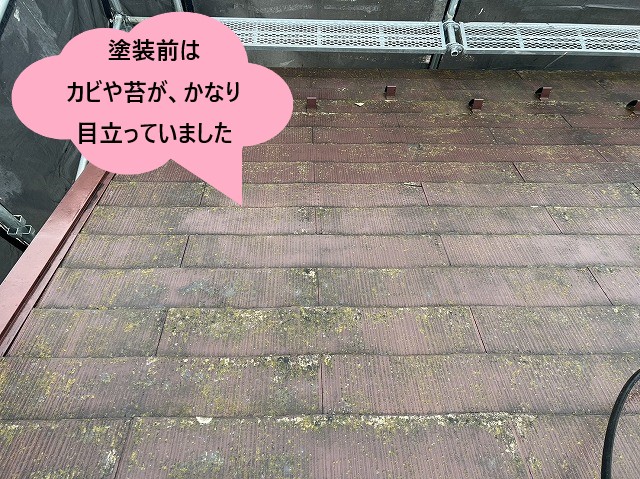 塗装前の屋根のカビや苔