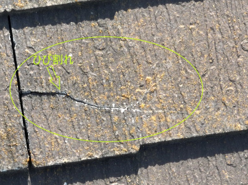 点検・現地調査　コロニアルNEO