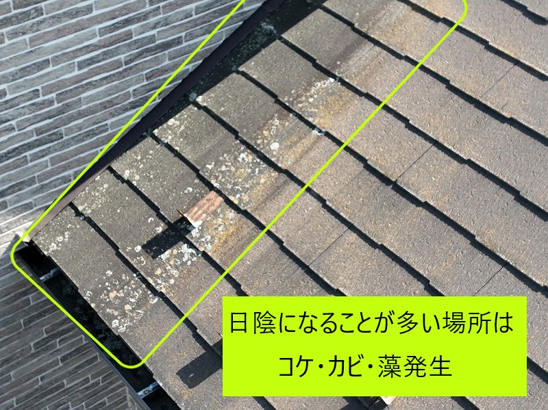 点検・現地調査　コロニアルNEO