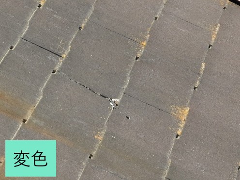 コロニアルNEOの特徴