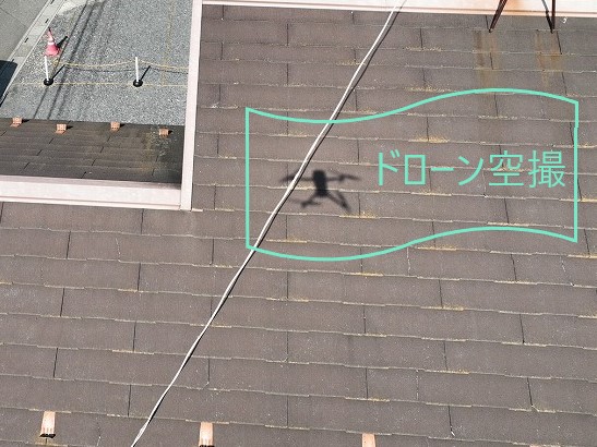 点検・現地調査　コロニアルNEO