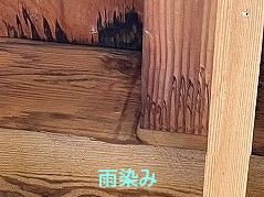 雨染み