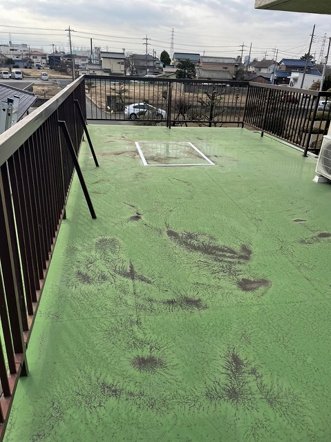 陸屋根　洗浄前