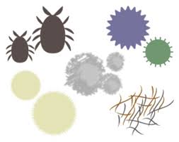 天井にシミ？葺き直し工事でお住まい復活