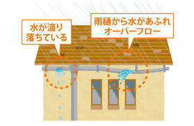 雨樋