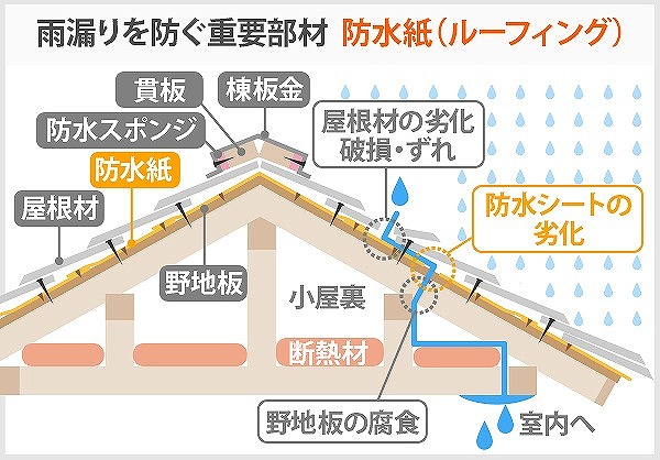 天井にシミ？葺き直し工事でお住まい復活