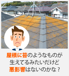 屋根メンテナンス　屋根塗装を実施しました♪